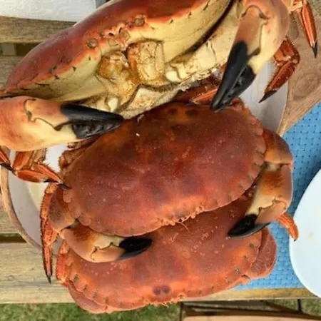 Maison Village, 10 Pers, Proche De La Nyaraló Audinghen