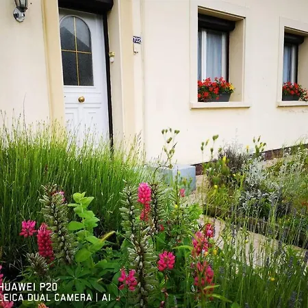 Maison Du Cap - - 10 Personnes, Jardin Cloture, Plages * Audinghen