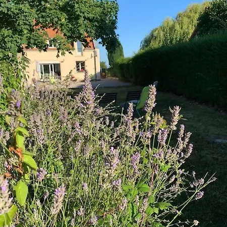 Hébergement de vacances Maison Village, 10 Pers, Proche De La Audinghen