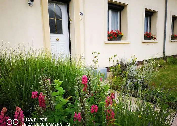 Maison Du Cap - - 10 Personnes, Jardin Cloture, Plages * Audinghen