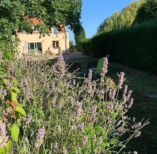 Semesterbostad Maison Du Cap - - 10 Personnes, Jardin Cloture, Plages Audinghen